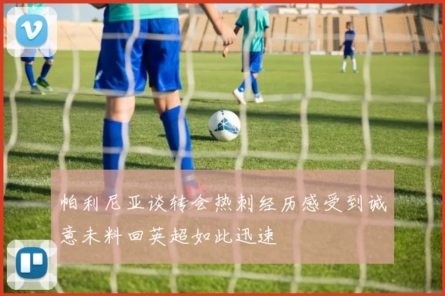 帕利尼亚谈转会热刺经历感受到诚意未料回英超如此迅速