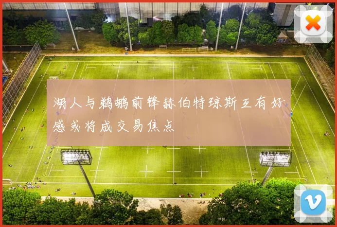 湖人与鹈鹕前锋赫伯特琼斯互有好感或将成交易焦点